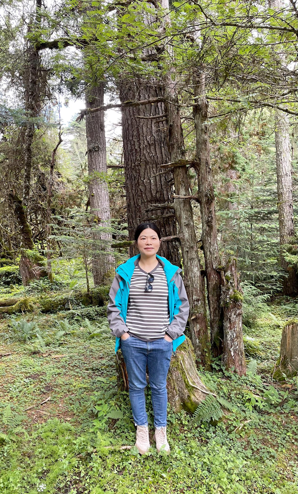 学科带头人    查香花