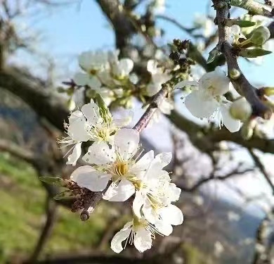 4ecfa8f534f04ab1bdfa43534d8c22e3.jpg 4ecfa8f534f04ab1bdfa43534d8c22e3.jpg