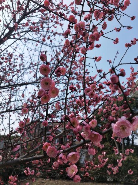 cb28217676514f76be1c7d8b1759e93a.Jpeg cb28217676514f76be1c7d8b1759e93a.Jpeg