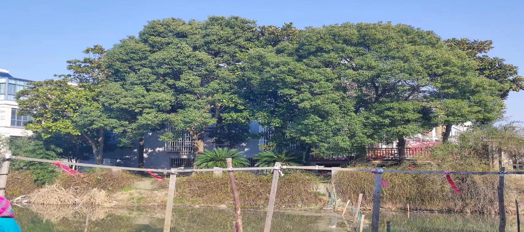 dc6bbf922c174ba095cc58eb4911b790.Jpeg dc6bbf922c174ba095cc58eb4911b790.Jpeg