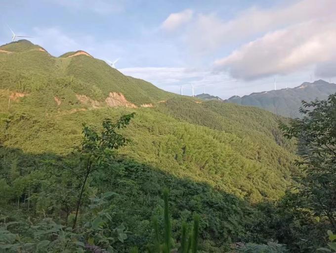 dceb856392bf42d184681bf79ff7a6da.Jpeg dceb856392bf42d184681bf79ff7a6da.Jpeg