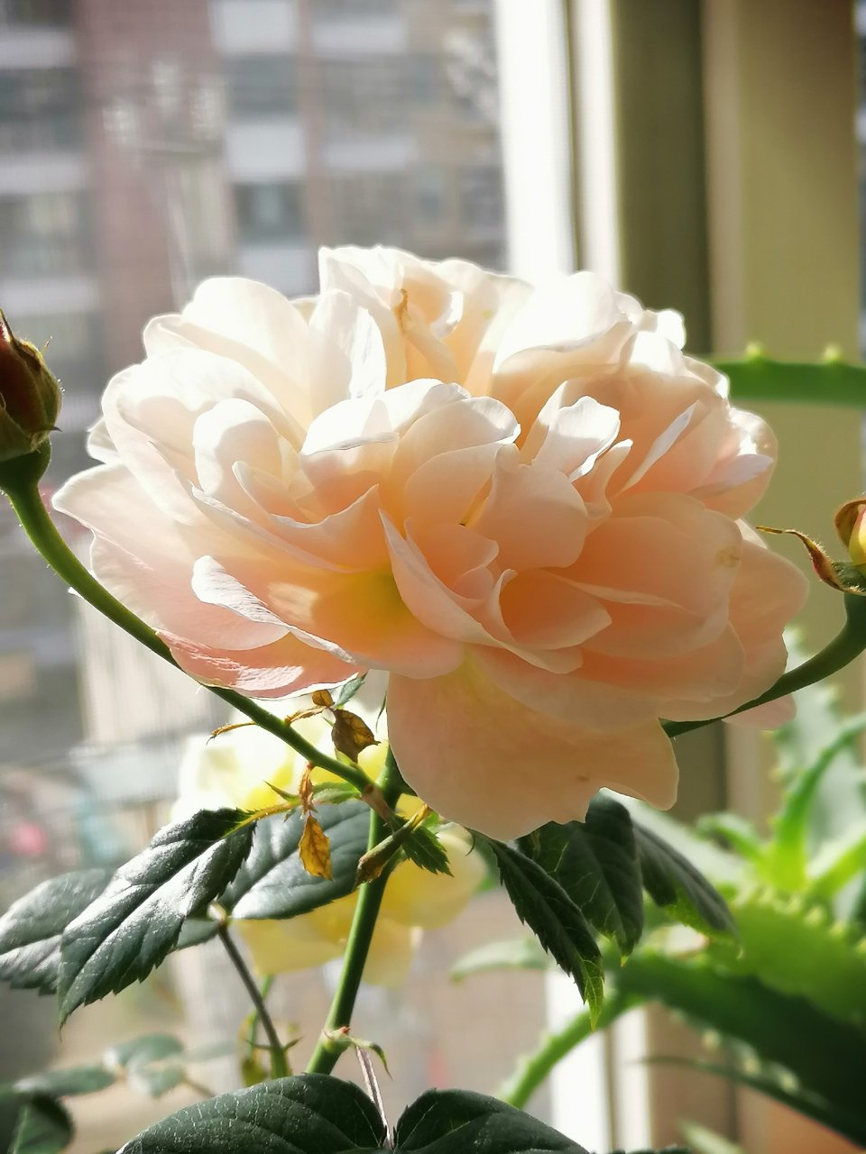 2073dd0978ca4150b79858db1ee2a4c0.jpg 2073dd0978ca4150b79858db1ee2a4c0.jpg