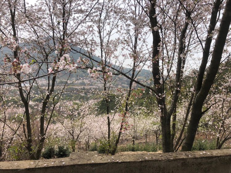 2a52e35e5e904357af622dc638eba953.png 2a52e35e5e904357af622dc638eba953.png