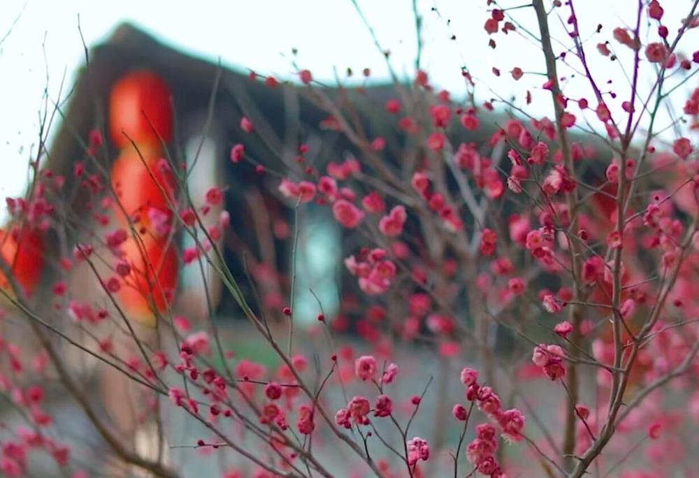 24a0231aec1d46c087efff123c06cd61.jpg 24a0231aec1d46c087efff123c06cd61.jpg