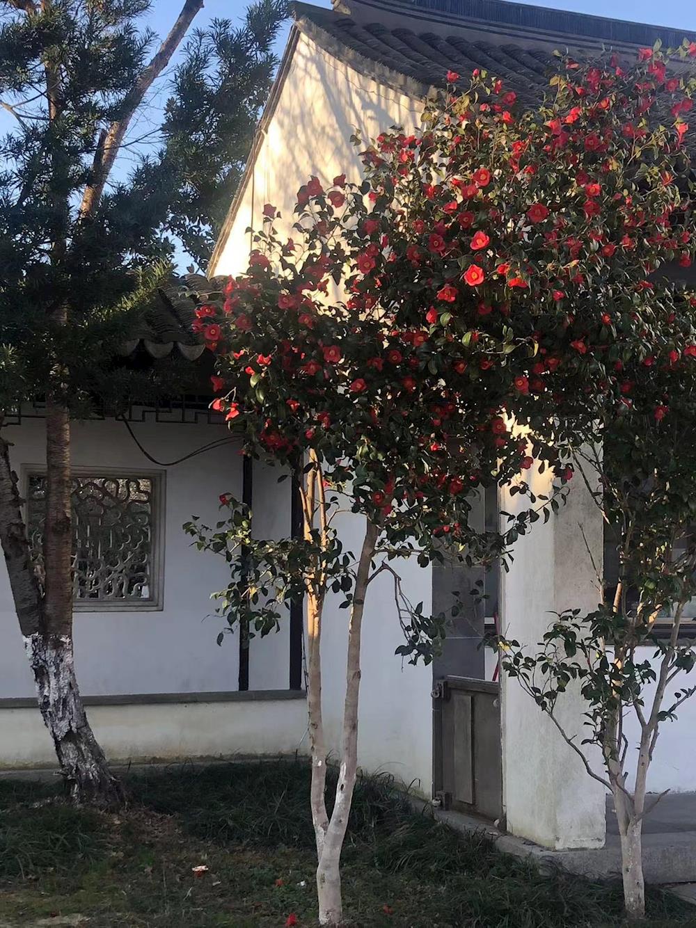 57cc65c3ff844f329567def0bd730263.jpg 57cc65c3ff844f329567def0bd730263.jpg