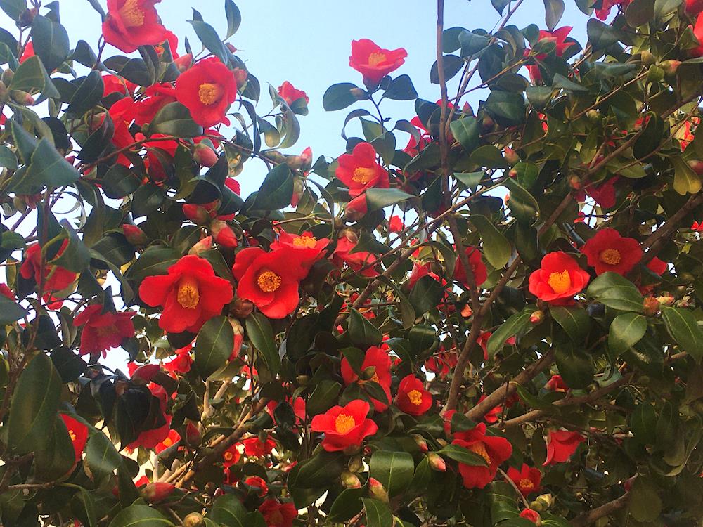 cc94ca518de642eb8bf1d7f8e216c82d.jpg cc94ca518de642eb8bf1d7f8e216c82d.jpg