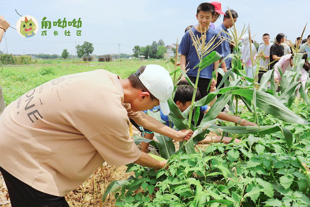 f1fe0b81ff4249a49e2ae9bebfc44c9e.jpg f1fe0b81ff4249a49e2ae9bebfc44c9e.jpg