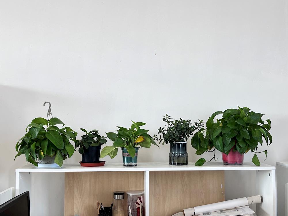 9967532acdcf4c6a895f77647ebb4752.jpg 9967532acdcf4c6a895f77647ebb4752.jpg