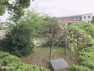 校园掠影（二）