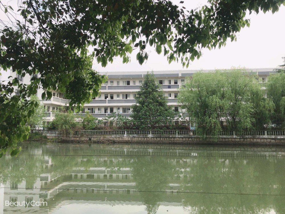 校园掠影（三）